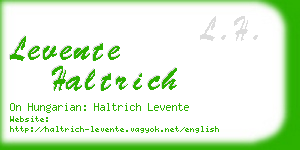 levente haltrich business card